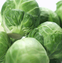 http://www.whfoods.com/images/featurefood.gif